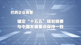 【中国经济很O-P-E-N!】巴西企业高管：锚定“十五五”规划纲要 与中国发展重点保持一致_fororder_企业微信截图_20260708093821