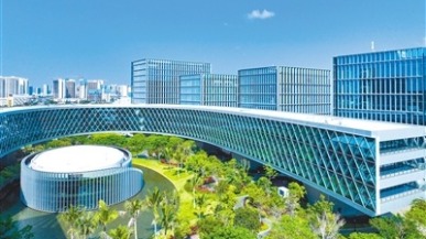 良法善治护航自贸港建设成型起势