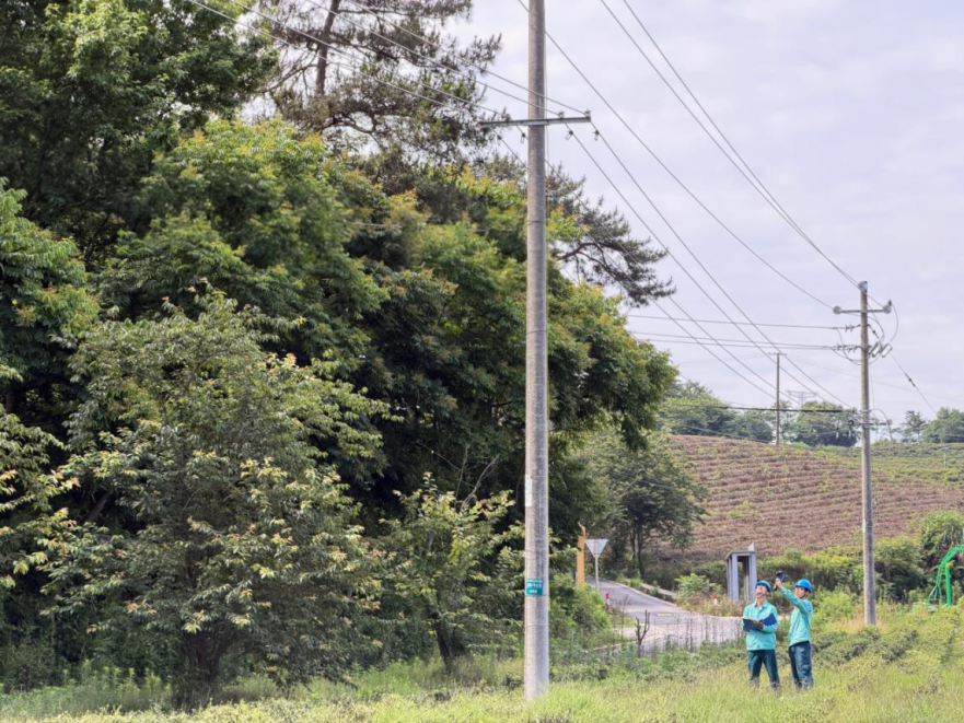 Zhejiang Strengthens Inspections of Mountain Power Lines to Safeguard Grid Reliability During Flood Season_fororder_图片2