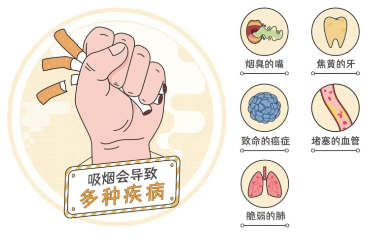 从青春开始的“健康倒计时”？早戒烟，早获益！| 科普时间_fororder_2_副本