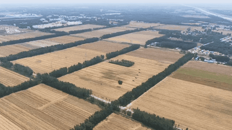 时政微纪录丨习近平总书记德州行