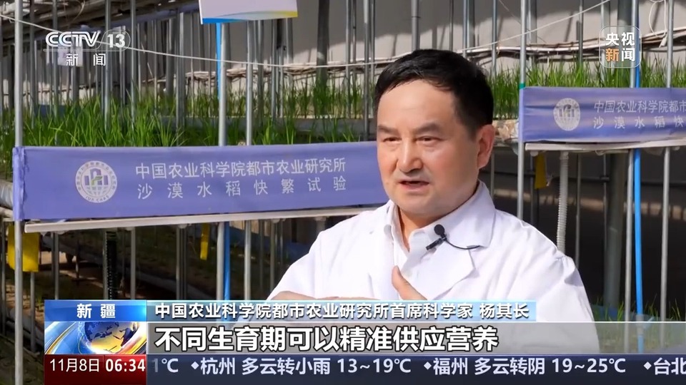 植物工厂长啥样？沙漠里能种水稻？揭秘种菜“黑科技”