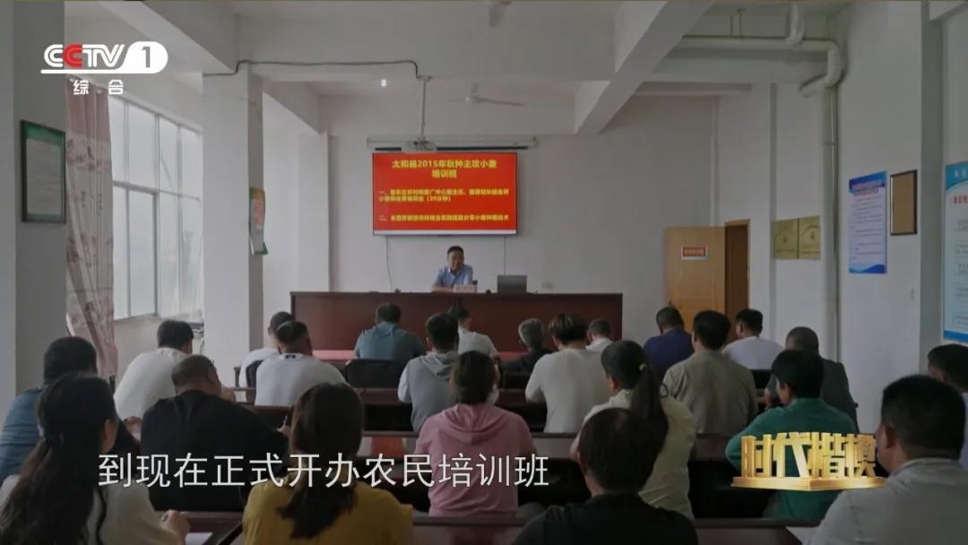 多种粮、种好粮的他被授予“时代楷模”