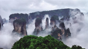 张家界雨后“悬浮山” 美景入画来