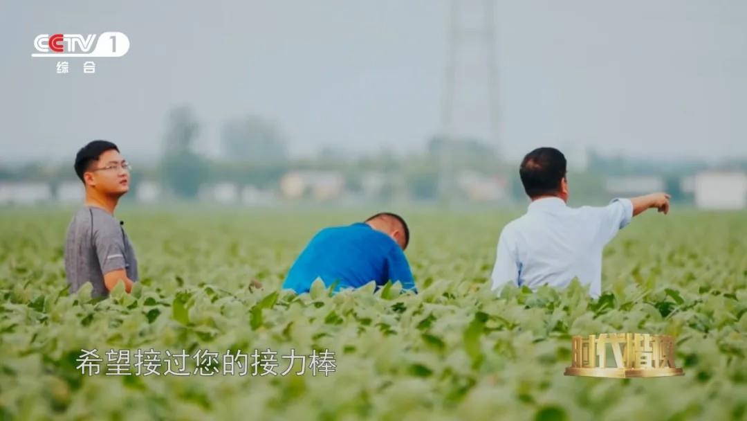 多种粮、种好粮的他被授予“时代楷模”