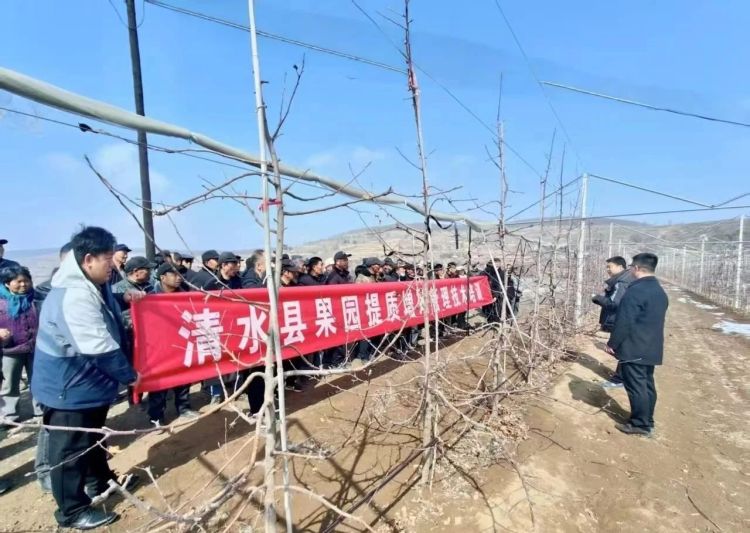 金集镇曹沟村：“四百”活动结硕果 苹果产业促振兴_fororder_微信图片_20250508092207