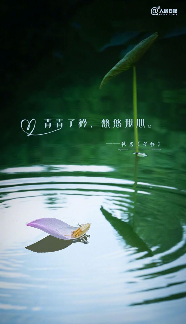 句句不提爱，句句都是爱