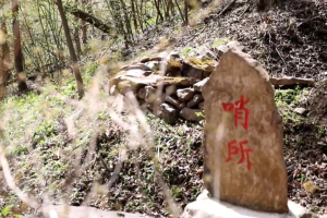 山河印记·寻访抗战足迹｜“响木”清脆 抗联密营里的“密电波”