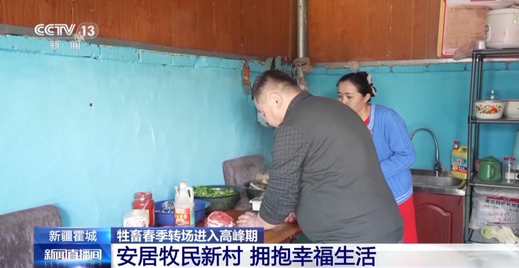 羊咩咩穿上了高科技“新衣”！来看新疆伊犁河谷牲畜春季转场