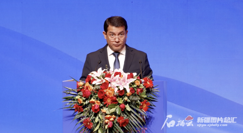 外交官眼中的中国新疆什么样？
