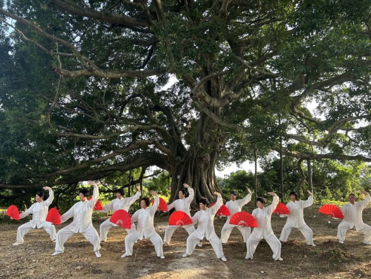 以“体育”的方式打开粤港澳，不止在全运_fororder_17