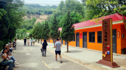 天津静海：助力镇原文旅升级 描绘东西部协作新图景