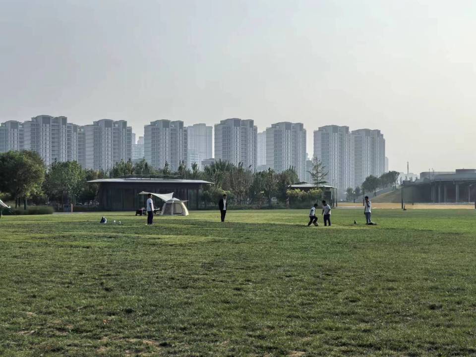 “开发开放 滨海先行”网络主题活动走进天津滨海新区