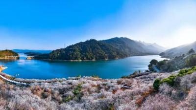 "Liuxi Misty Shores" in Conghua Named One of the 2025 "Eight Sights of Yangcheng"