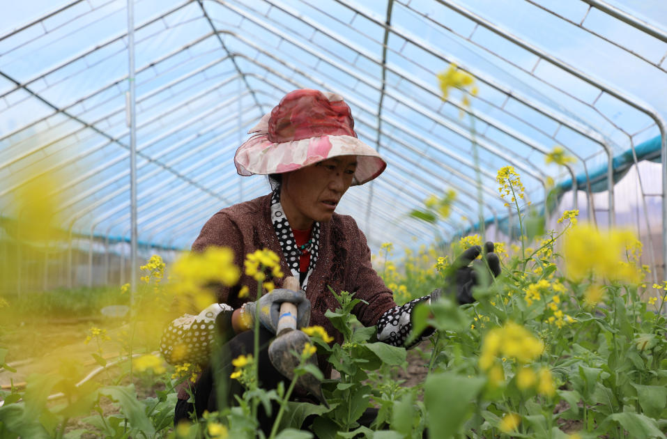 辉煌60年·我们的家园｜高原“旅客”上太空