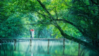 全国仅十例！黄山市徽州区西溪南“村创”与贵州省榕江村超、台江“村BA”一道入选全国典型