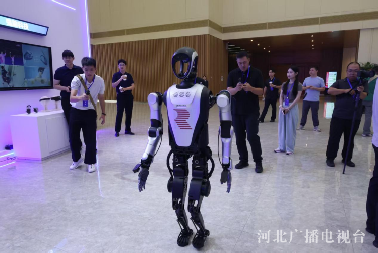 协同发展谱新篇丨数智赋能＋产业筑基！廊坊在京津冀协同中打造增长新引擎