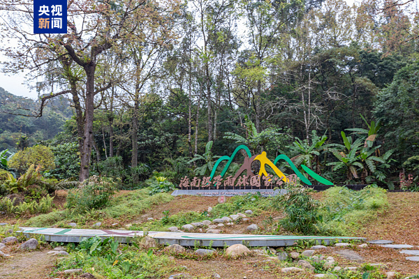 国家公园建设成效显著 自然保护地体系建设进入新阶段