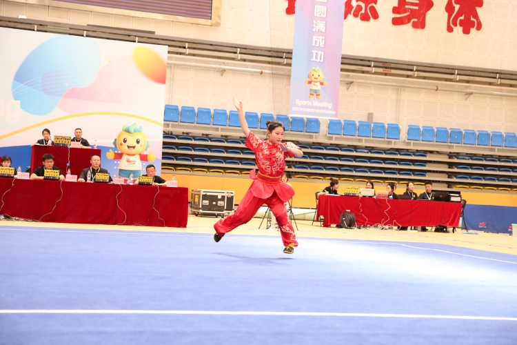 天水市武术选手在全省中运会勇夺三金五银五铜