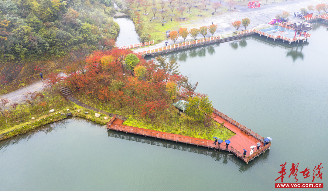 赏秋正当时！湖南登山赏景攻略来了_fororder_7