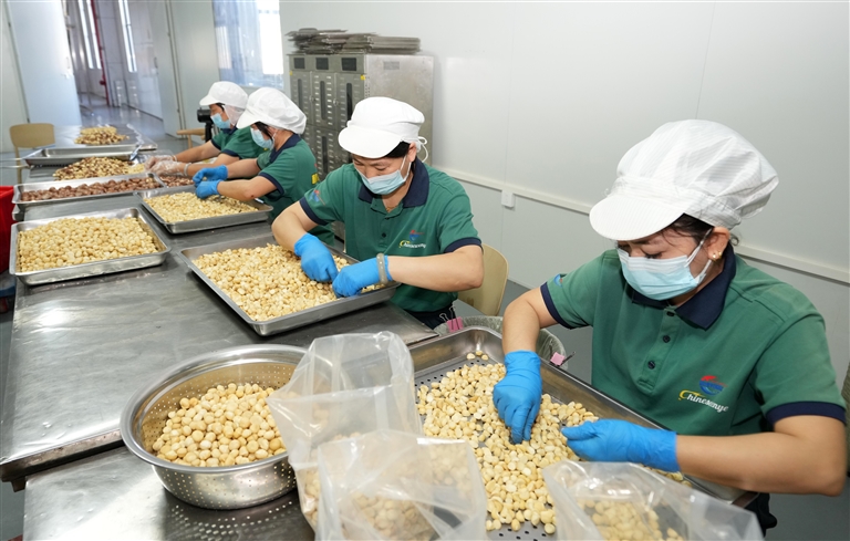 非洲坚果精深加工从东方远销全球_fororder_1