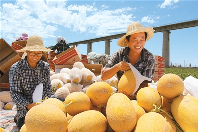人民日报海外版看新疆 | 哈密：“甜蜜引擎”激活乡村活力