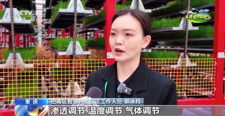 智能化育秧、无人机施肥、机器播种 “智慧春耕”正在进行中