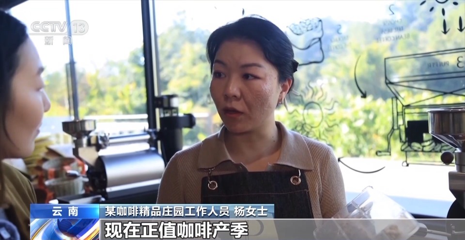 视频丨一粒豆一颗柑 中国味道饮品里藏着“绿色致富密码”