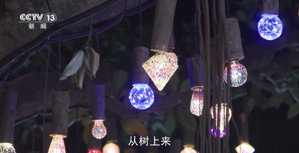 蛇宝宝为啥“兔里兔气”？看看不一样的低碳新“年味”