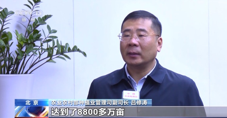 粮食产量再创新高！解锁大国粮仓的丰收“密码”