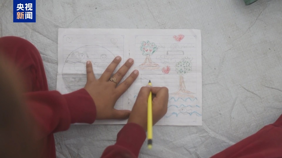 视频丨加沙停火一个月 安提兹一家仍在为生存挣扎