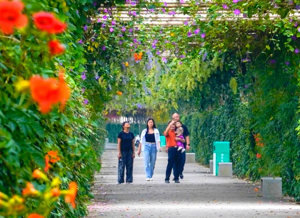 Explore Nansha's Autumn Scenery_fororder_图片4