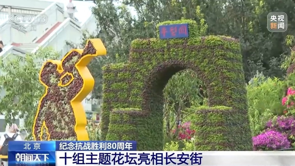 10组主题花坛亮相长安街沿线 纪念抗战胜利80周年