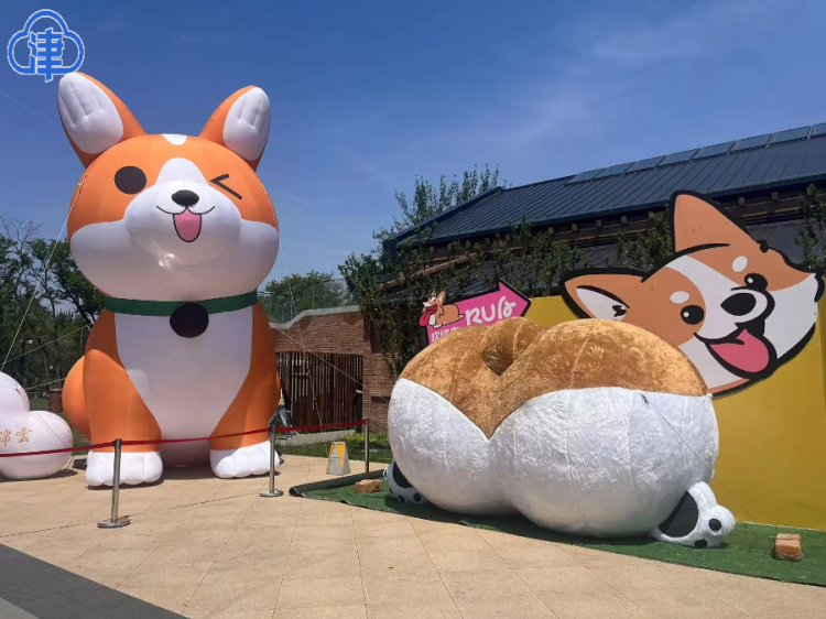 天津河东：老旧厂房焕新尽展蝶变之美