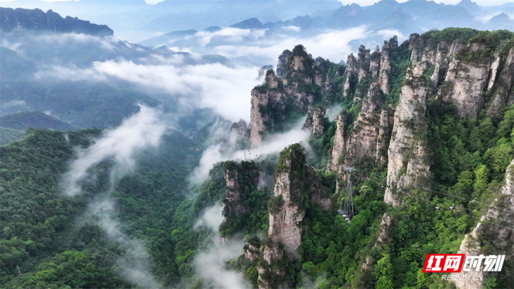 组图丨张家界国家森林公园“立夏”迎来云海仙景_fororder_1