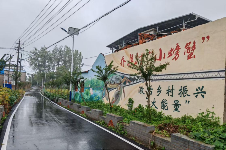 蚌埠市五河县东刘集镇：“稻虾共舞” 奏响乡村振兴 “和美乐章”_fororder_10171