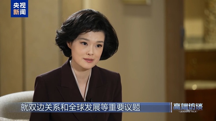 高端访谈丨专访格林纳达总理米切尔