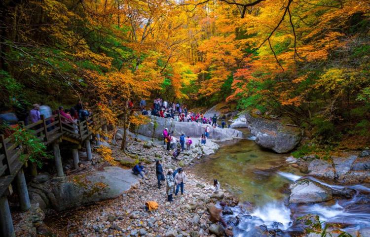 热词看未来丨丰富高品质旅游产品供给