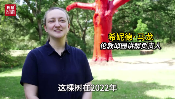 视频｜伦敦邱园染红枯死橡树警示气候危机_fororder_图片2