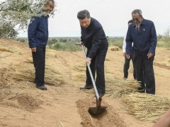 【讲习所·追光的你】习近平用“四个最”诠释劳动观_fororder_推荐图