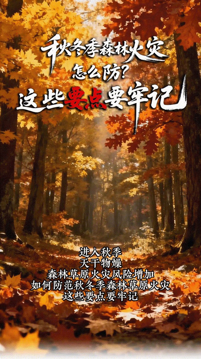AI科普丨秋冬季森林火灾怎么防？这些要点要牢记