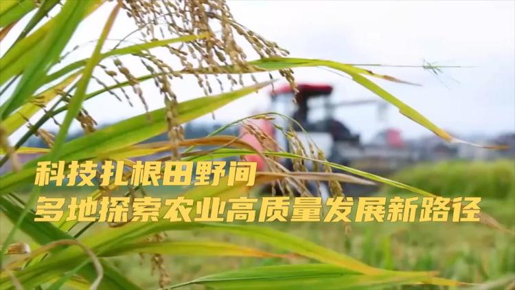 新华视点｜科技扎根田野间 多地探索农业高质量发展新路径