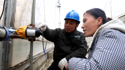 Nanyang, Henan: Reliable Power Supply Fuels the Thriving Strawberry Cultivation Industry