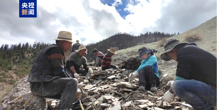 最新研究揭示青藏高原中央谷地东部洛隆盆地隆升历史