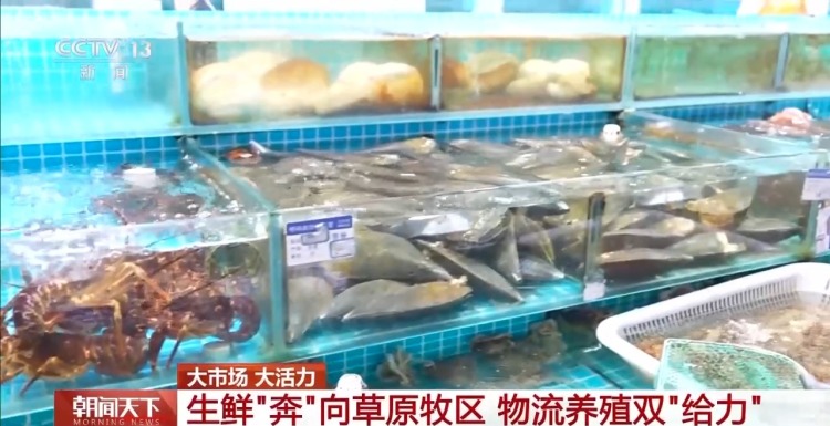 大市场 大活力丨“五一”假日餐桌海鲜热度揭秘 生蚝如何抢“鲜”出发？
