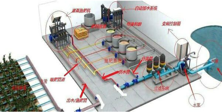 场景、机制、技术：数字化为乡村振兴持续赋能
