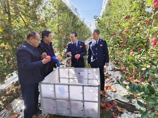 庆阳：税惠“甘露”润瓜果 助农增收“甜”心间_fororder_8