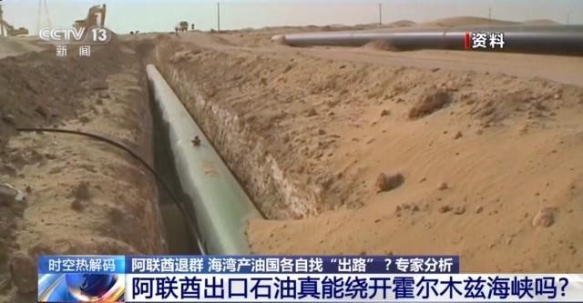 阿联酋“退群” 海湾产油国各自找“出路”？