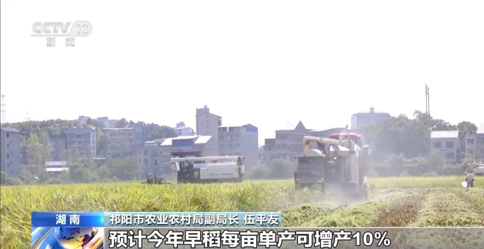早稻丰收在望 秋粮长势良好 今年的粮食有保障