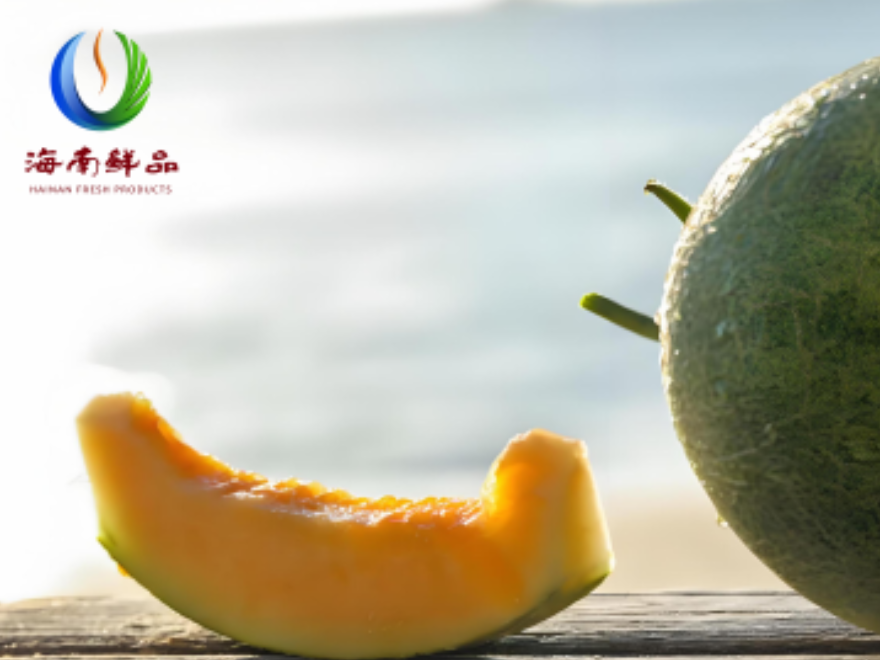 北纬18度的黄金蜜语：一颗蜜瓜的冬日馈赠_fororder_111